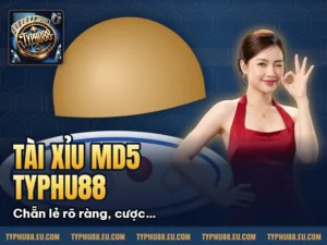 Hình minh họa bài viết: Tài Xỉu MD5 Typhu88 là gì? Hướng dẫn cách chơi cho tân thủ